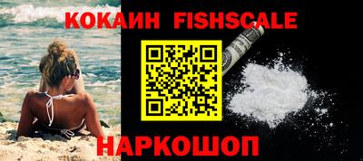 PSILOCYBIN Гатчина
