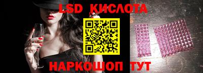 PSILOCYBIN Гатчина
