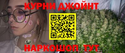 PSILOCYBIN Гатчина