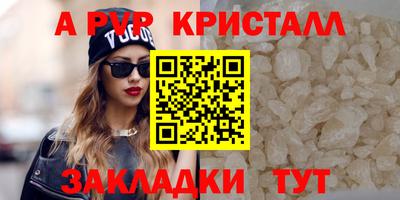PSILOCYBIN Гатчина