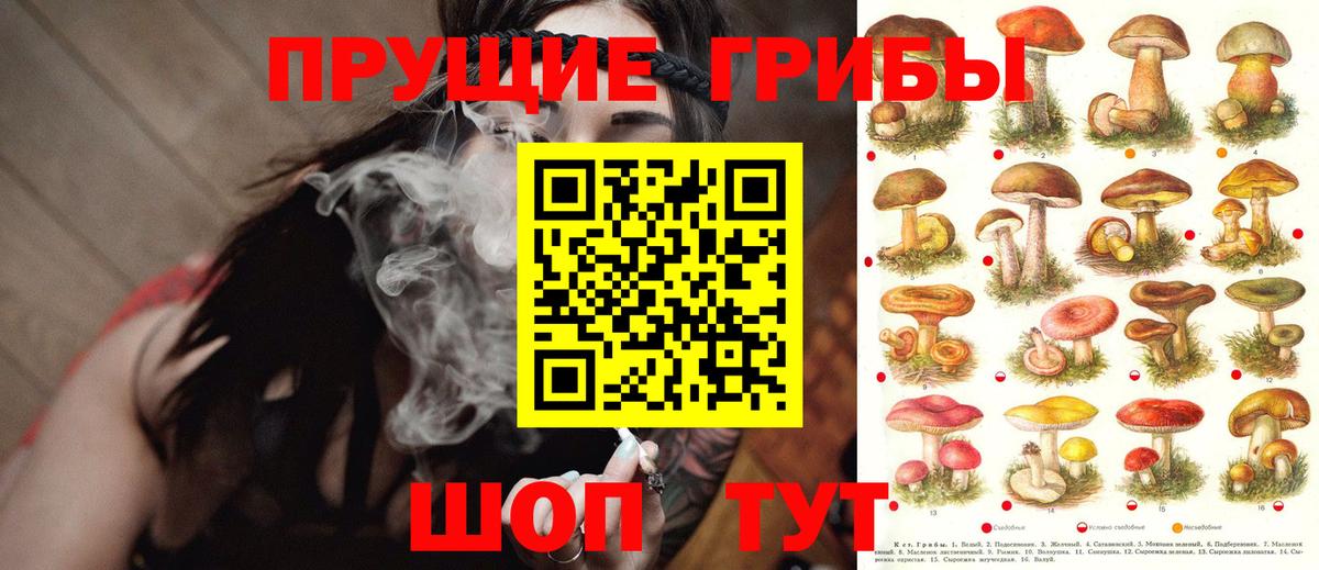 Минусинск  Псилоцибиновые грибы мицелий  Вход с VPN  Псилоцибиновые грибы MAGIC MUSHROOMS 