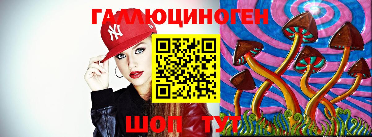 Псилоцибиновые грибы GOLDEN TEACHER Минусинск